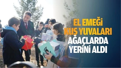 El emeği kuş yuvaları ağa&ccedil;larda yerini aldı