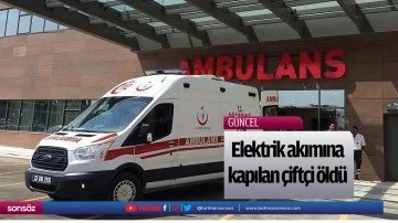Elektrik akımına kapılan &ccedil;ift&ccedil;i &ouml;ld&uuml;