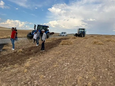 Elektrik direği yangına neden oldu