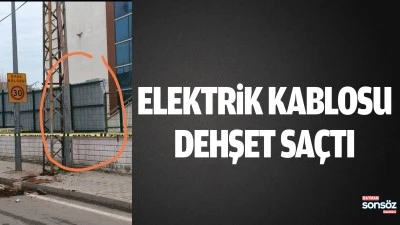 Elektrik kablosu dehşet sa&ccedil;tı