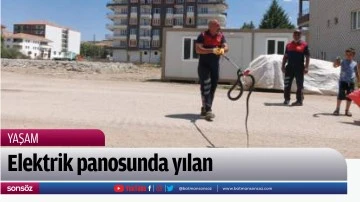 Elektrik panosunda yılan