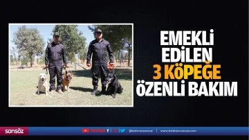 Emekli edilen 3 k&ouml;peğe &ouml;zenli bakım&hellip;