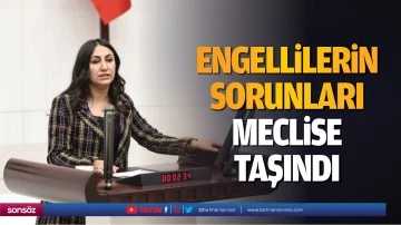 Engellilerin sorunları meclise taşındı