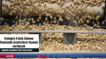 Entegre Fıstık İşleme Tesisinde &uuml;reticilere hizmet verilecek