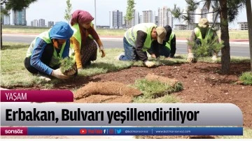 Erbakan, Bulvarı yeşillendiriliyor