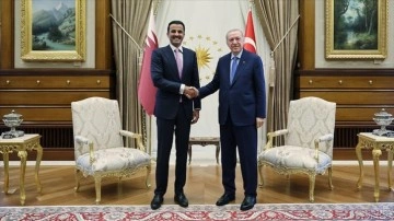 Erdoğan ve Al Sani İkili İlişkileri ve B&ouml;lgesel Gelişmeleri Ele Aldı