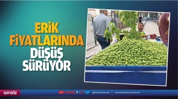 Erik fiyatlarında d&uuml;ş&uuml;ş s&uuml;r&uuml;yor