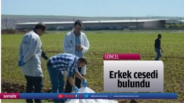 Erkek cesedi bulundu