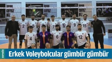 ERKEK VOLEYBOLCULAR G&Uuml;MB&Uuml;R G&Uuml;MB&Uuml;R