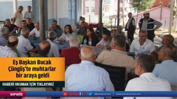Eş Başkan Bucak, &Ccedil;&uuml;ng&uuml;ş&rsquo;te muhtarlar bir araya geldi