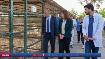 Eş Başkan Bucak, incelemelerde bulundu
