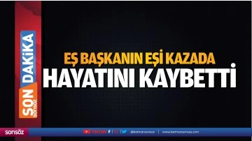 Eş Başkanın eşi kazada hayatını kaybetti