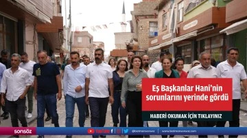 Eş Başkanlar Hani&rsquo;nin sorunlarını yerinde g&ouml;rd&uuml;