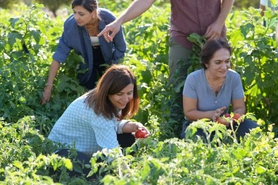  Eşbaşkan Bucak kadınlarla sebze topladı