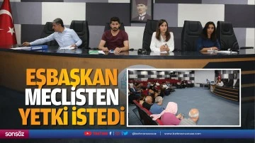 Eşbaşkan meclisten yetki istedi