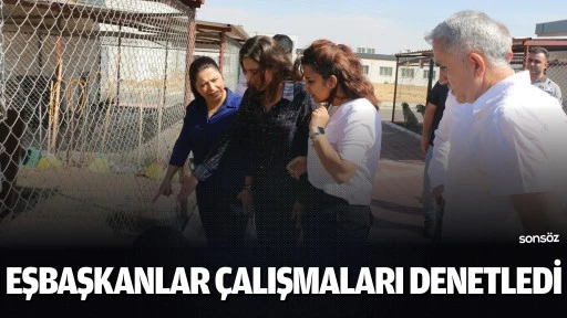 Eşbaşkanlar &ccedil;alışmaları denetledi