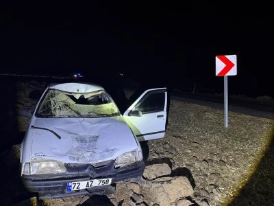 Eşeğe &ccedil;arpan otomobilin s&uuml;r&uuml;c&uuml;s&uuml; yaralandı