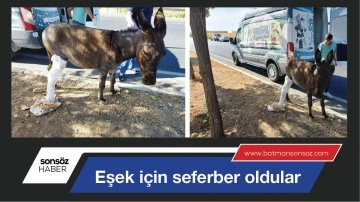 EŞEK İ&Ccedil;İN SEFERBER OLDULAR