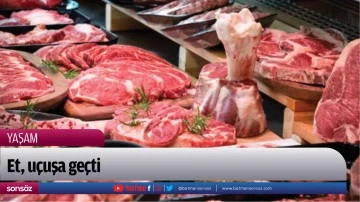 Et, u&ccedil;uşa ge&ccedil;ti