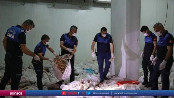 Etiketsiz 10 ton tavuk ele ge&ccedil;irildi