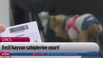 Evcil hayvan sahiplerine uyarı!