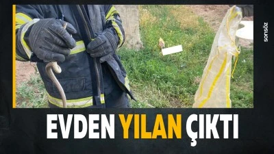 Evden yılan &ccedil;ıktı