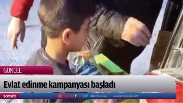 Evlat edinme kampanyası başladı
