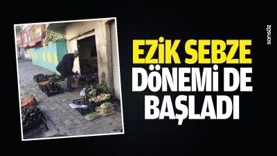 Ezik sebze d&ouml;nemi de başladı