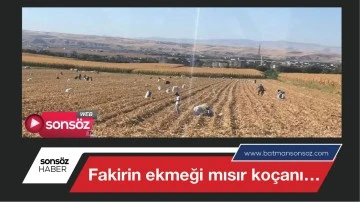 Fakirin ekmeği mısır ko&ccedil;anı&hellip;