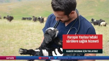 Faraşin Yaylası'ndaki s&uuml;r&uuml;lere sağlık hizmeti