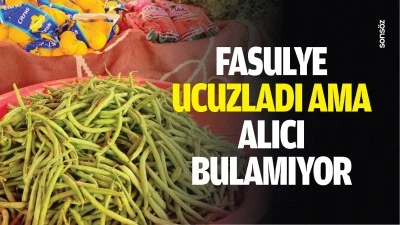 Fasulye ucuzladı ama alıcı bulamıyor