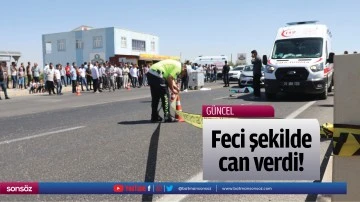 Feci şekilde can verdi!
