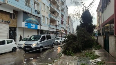 Fırtınada &uuml;zerine elektrik direği devrilen otomobildeki 2 kişi yaralandı