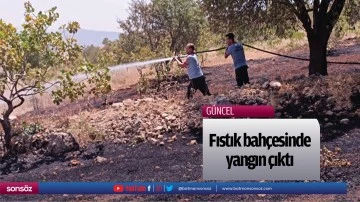 Fıstık bah&ccedil;esinde yangın &ccedil;ıktı