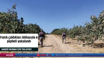 Fıstık &ccedil;aldıkları iddiasıyla 6 ş&uuml;pheli yakalandı