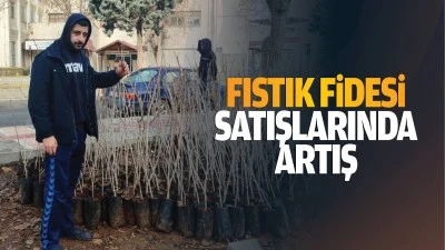 Fıstık fidesi satışlarında artış&hellip;