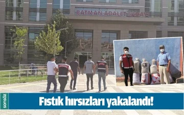 FISTIK HIRSIZLARI YAKALANDI!