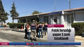 Fıstık hırsızlığı yapan 3 zanlı tutuklandı