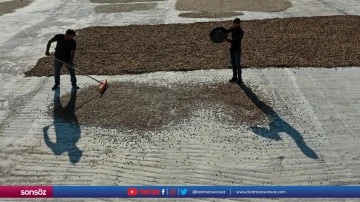 Fıstık işleme tesisi &uuml;reticinin y&uuml;k&uuml;n&uuml; hafifletti