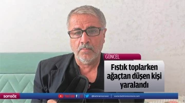Fıstık toplarken ağa&ccedil;tan d&uuml;şen kişi yaralandı