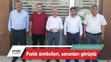 Fıstık &uuml;reticileri, sorunları g&ouml;r&uuml;şt&uuml;