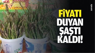 Fiyatı duyan şaştı kaldı!