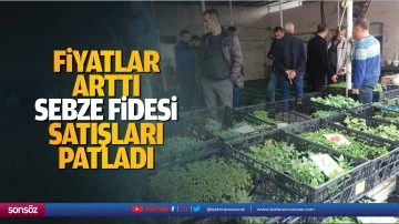 Fiyatlar arttı, sebze fidesi satışları patladı