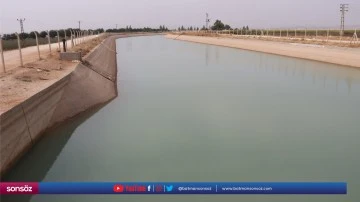 GAP ile suya kavuşan topraklar bereketlendi