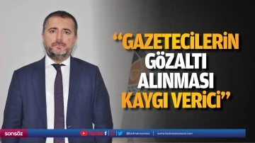 &ldquo;Gazetecilerin g&ouml;zaltı alınması kaygı verici&rdquo;