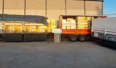 Gaziantep'te 254 ka&ccedil;ak klima ele ge&ccedil;irildi