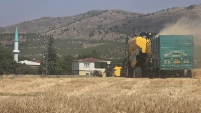Gaziantep&rsquo;te, arpa ve buğday hasadı s&uuml;r&uuml;yor