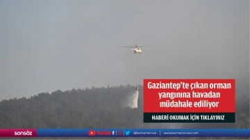 Gaziantep'te &ccedil;ıkan orman yangınına havadan m&uuml;dahale ediliyor