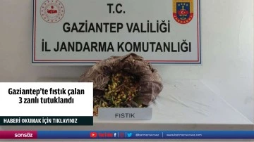 Gaziantep'te fıstık &ccedil;alan 3 zanlı tutuklandı