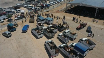 Gaziantep'te hayvan pazarında yoğunluk